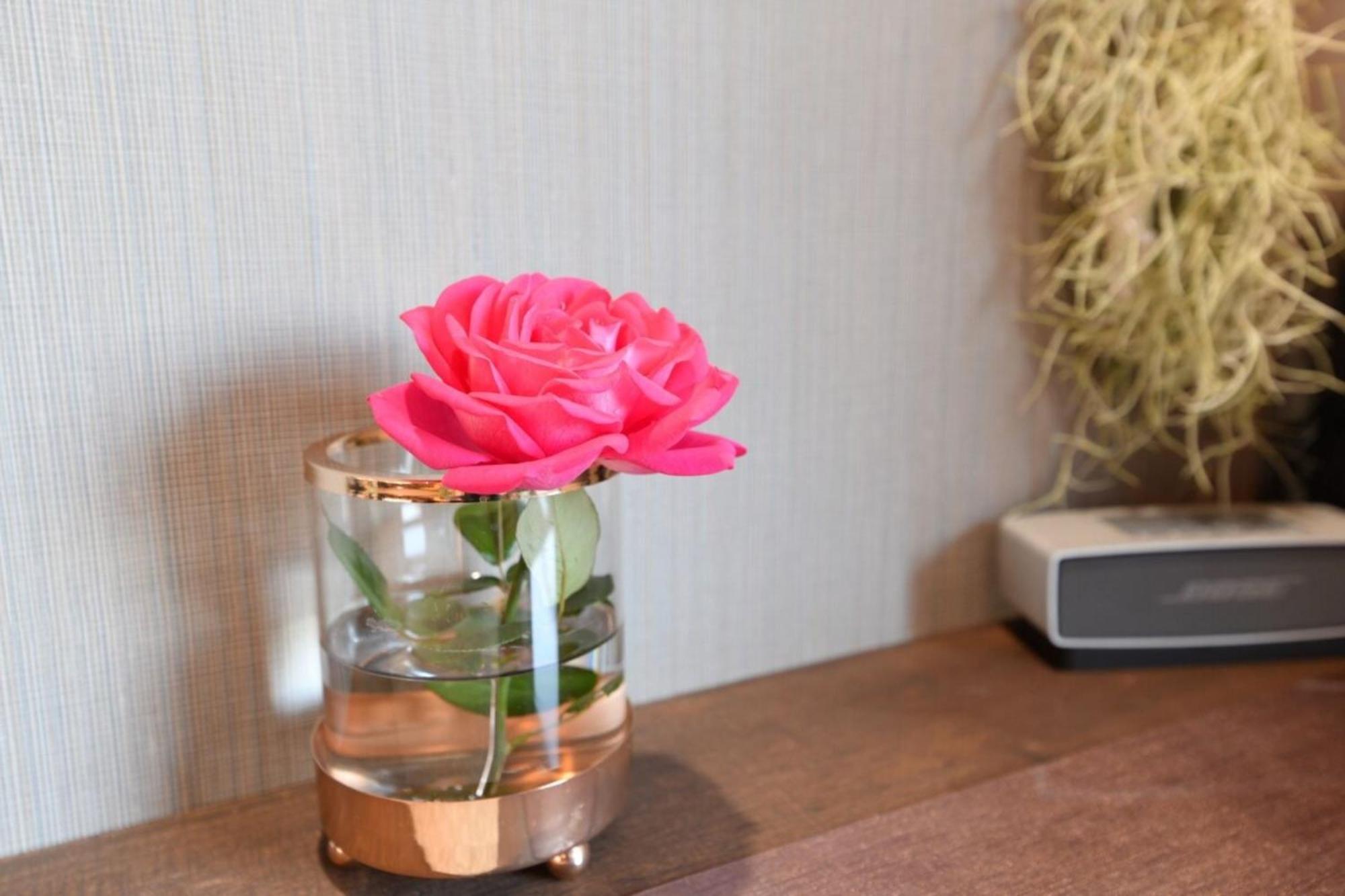 Hotel Tokyo Hub - Vacation Stay 27694V ภายนอก รูปภาพ